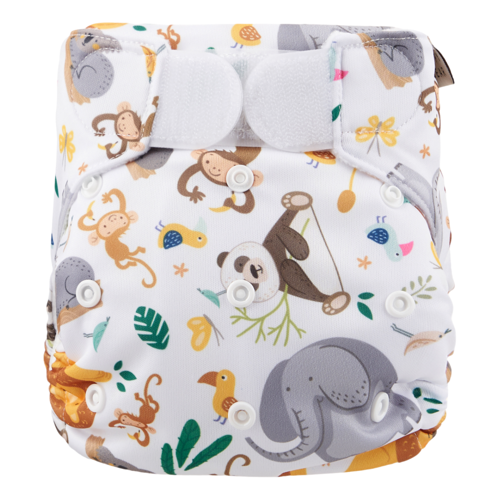 Zwemluier | Klittenband | Wild animals