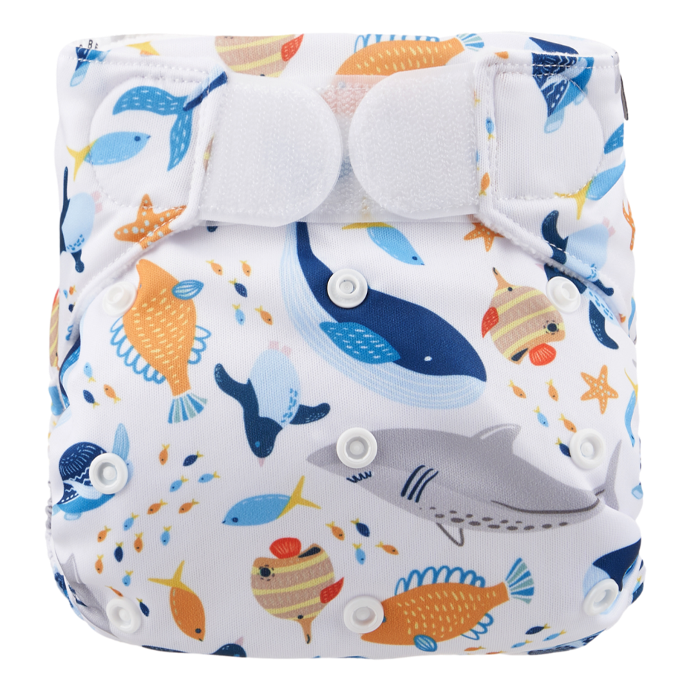 Zwemluier | Klittenband | Sea Animals